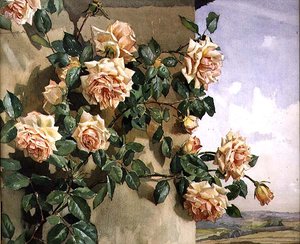 Roses sur un mur