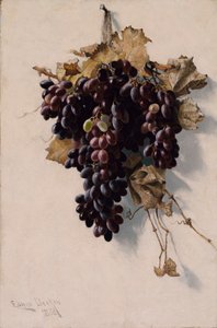 Nature morte aux raisins