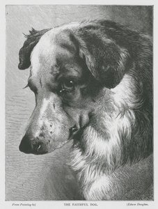 Le chien fidèle (gravure) - Edwin Douglas