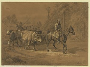 Le chef du troupeau - Edwin Forbes