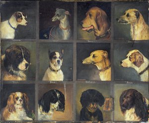 Douze Chiens Préférés, 1883 - Edwin Frederick Holt