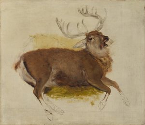 Cerf mourant, vers 1830 - Edwin Landseer