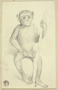 Orang-outan