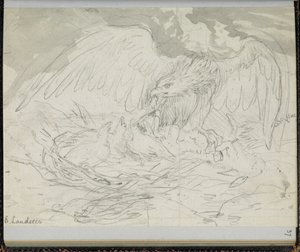 Oiseau de proie nourrissant des poussins, de 
