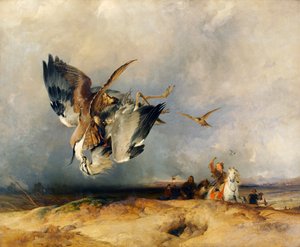 Chasse au faucon à l