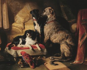 Hector, Nero et Dash avec le perroquet Lory - Edwin Landseer