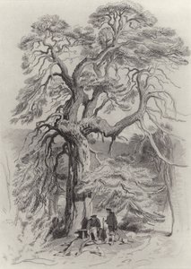 Sous le vieux sapin - Edwin Landseer
