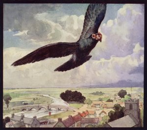 Un pigeon voyageur en vol