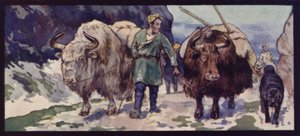 Un train de yaks tibétains