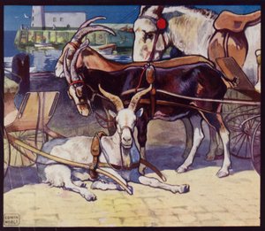 Chariots de chèvres