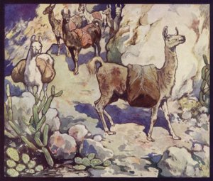 Lamas dans les Andes
