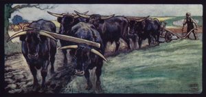 Bœufs labourant sur les Downs du Sussex