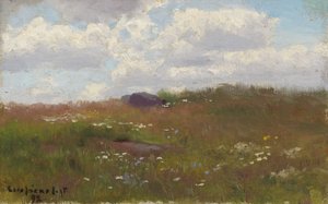 Prairie fleurie en été - Eero Järnefelt