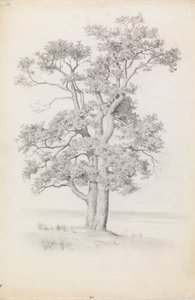  - Eero Järnefelt
