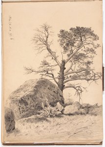 Sans titre - Eero Järnefelt