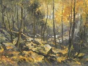 Felsenmeer - Egbert Rubertus Derk Schaap