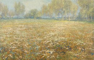 Prairie en fleurs