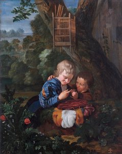 Garçons avec oiseau piégé