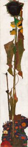 Tournesol, 1909-1910 - Egon Schiele