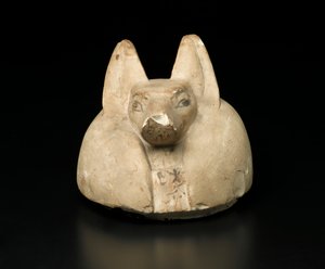 Couvercle de vase canope à tête de chacal