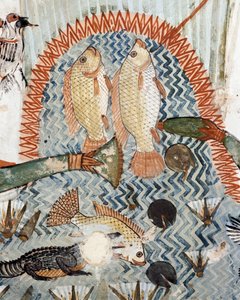 Poisson, détail de la scène de chasse et de pêche dans les marais, fresque, mur nord, chambre longitudinale, Tombe thébaine TT69, Sheikh Abd el-Qurna, Thèbes (liste du patrimoine mondial de l