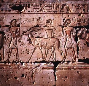 Relief représentant des oryx conduits en procession pour le sacrifice, du temple de Ramsès II, Nouvel Empire