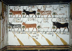 Sept vaches célestes, taureau époux et quatre rames de direction, chapitre 148 du Livre des Morts (détail)