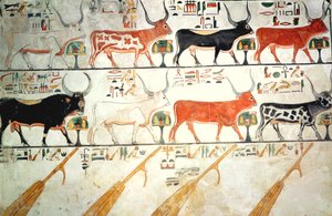 Les sept vaches célestes et le taureau sacré et les quatre gouvernails du ciel, de la tombe de Néfertari, Nouvel Empire (peinture murale)