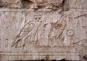 Antiquité égyptienne : relief représentant une chouette et un aigle. Tombe d