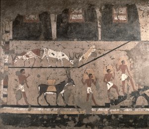 Scène agricole, peinture murale retirée du Mastaba de Ti à Saqqarah, Ancien Empire, c.2494-2345 av. J.-C.