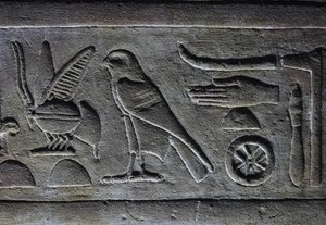 Hiéroglyphes, Abeille du Pharaon et Faucon d