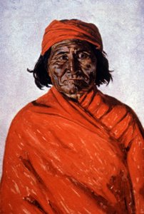 Geronimo, vers 1900 (illustration)