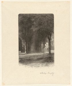 Sans titre [Rue bordée d