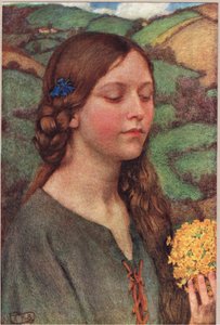 Bouquet de fleurs, illustration de 