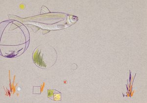 Floating, 2014 (crayon aquarelle et feuille d