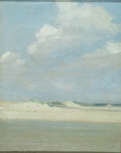 Dunes à la mer (Laguna Beach)