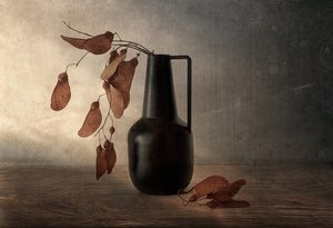 Vase noir avec des gousses séchées - Elena Arjona