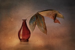 Vase rouge « Feuilles d