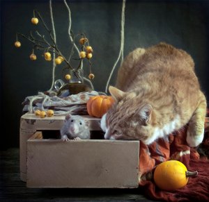  - Eleonora Grigorjeva