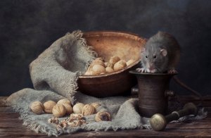  - Eleonora Grigorjeva