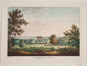 Bernstorff de Fortunen - Elias Meyer