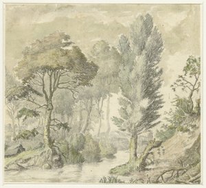 Paysage forestier avec colline à droite et eau au centre