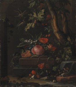 Fleurs - Elias van den Broeck