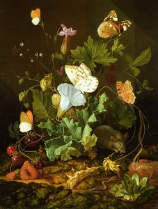 Nature morte d