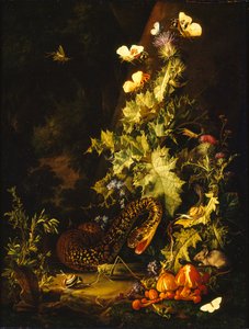 Nature morte avec un serpent, début du 18ème siècle
