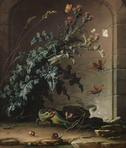 Niche en pierre avec chardon, lézard et insectes, 1690