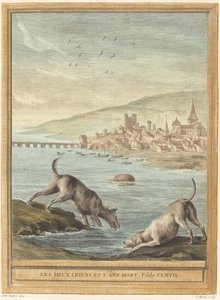 Les deux chiens et l