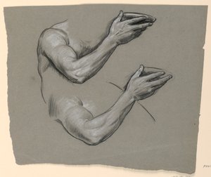 Étude de bras