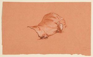 Étude de draperie pour torse masculin costumé