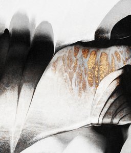  - Elisabeth Fredriksson